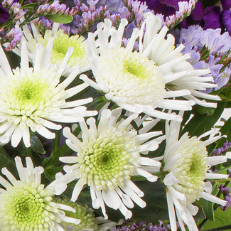 Blumenstrauß Winterkind mit Vase & Ferrero Giotto 3er