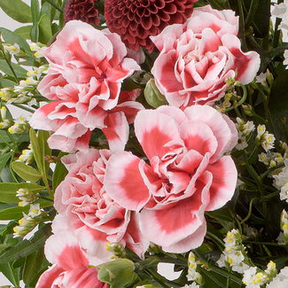 Blumenstrauß Winterlichtung mit Vase & Ferrero Giotto 3er