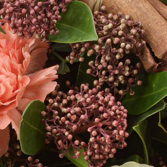 Flower Bouquet Winterbote with vase & 3 Ferrero Giotto