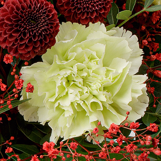 Flower Bouquet Winterzeit with vase & 3 Ferrero Giotto