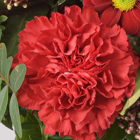 Blumenstrauß Schöne Bescherung mit Vase & Ferrero Giotto 3er