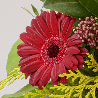 Blumenstrauß Winterliebling mit Vase & Ferrero Giotto 3er