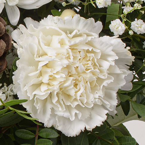 Blumenstrauß Sternennacht mit Vase & Ferrero Giotto 3er