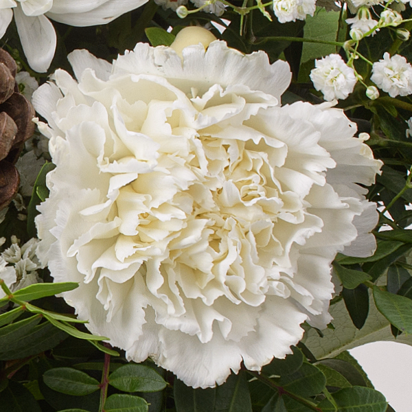 Flower Bouquet Sternennacht with vase & 3 Ferrero Giotto