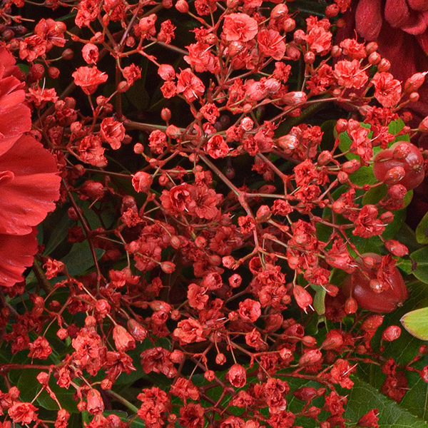 Flower Bouquet Red Velvet with vase & 3 Ferrero Giotto