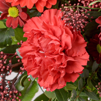 Blumenstrauß Winterlaune mit Vase & Ferrero Giotto 3er