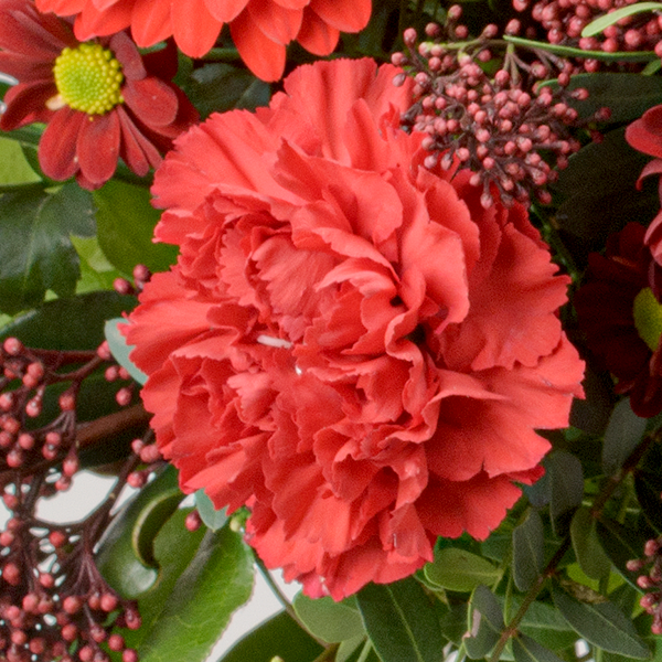 Blumenstrauß Winterlaune mit Vase & Ferrero Giotto 3er