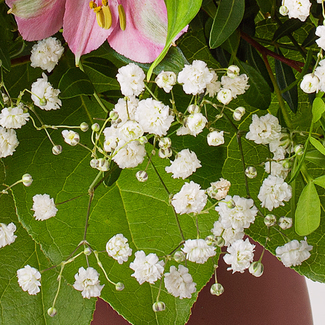 Flower Bouquet Winterspiel with vase & 3 Ferrero Giotto