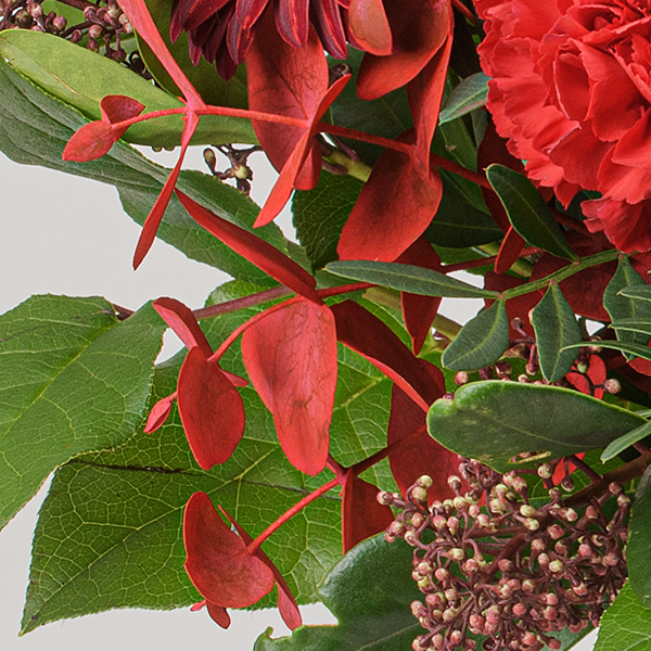 Premiumstrauß Winterblüte mit Premiumvase & Ferrero Giotto 3er