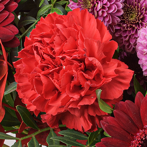 Premium Bouquet Winterblüte with Premium Vase & 3 Ferrero Giotto