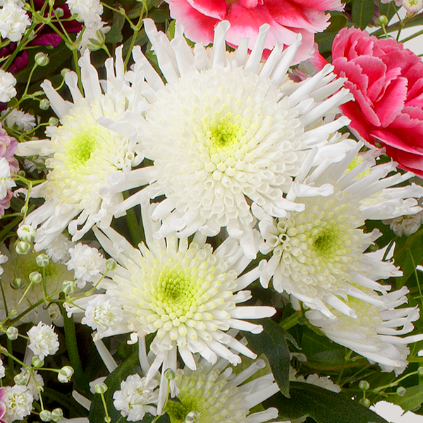 Flower Mix Wintergefühl with 3 Ferrero Giotto