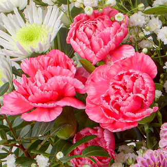 Flower Mix Wintergefühl with 3 Ferrero Giotto