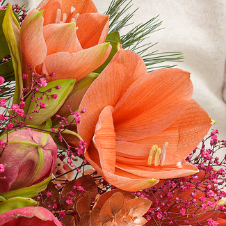 Blumenmix Winterballade mit Ferrero Giotto 3er