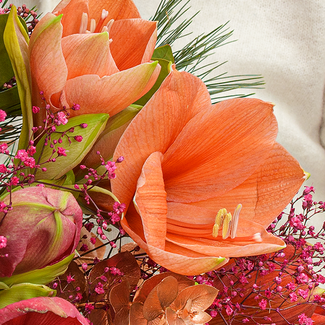 Blumenmix Winterballade mit Ferrero Giotto 3er