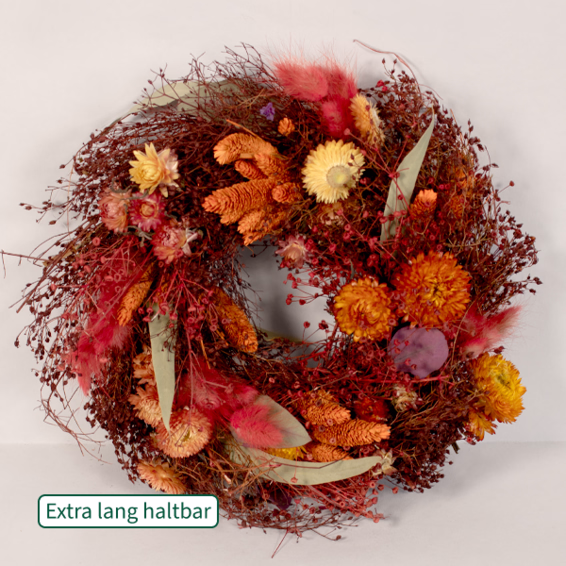 Trockenkranz Morgenlicht