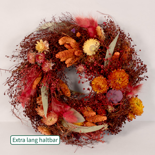 Trockenkranz Morgenlicht