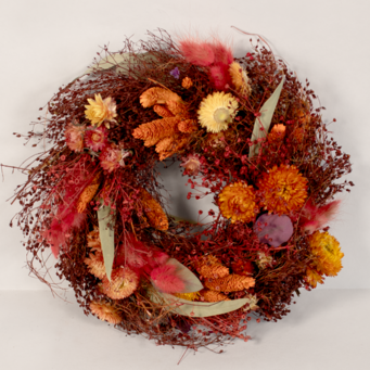 Dry Wreath Morning Light