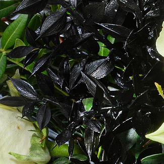 Trauerstrauß Tröstende Erinnerung mit Vase