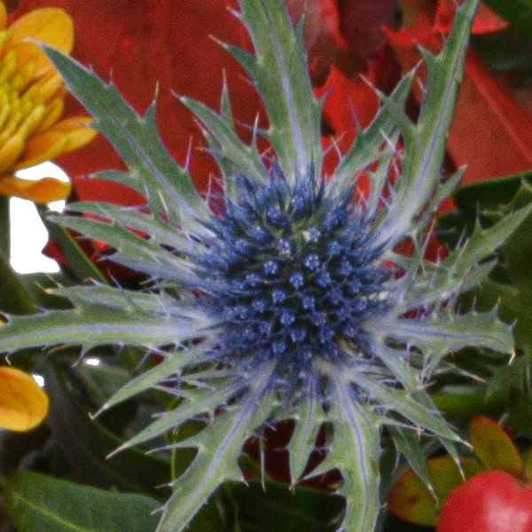 Liegestrauß Abschiedsgruß