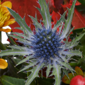 Sympathy Bouquet Abschiedsgruß