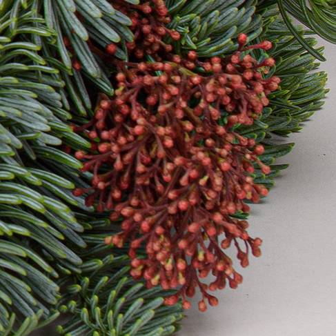 Wreath Nature Christmas (Ø 30 cm) with 3 Ferrero Giotto