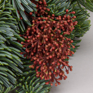 Adventskranz Nature Christmas (Ø 30 cm) mit Ferrero Giotto 3er