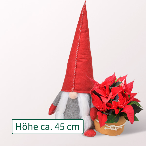 Arrangement Sterntaler mit Halloren Kugeln