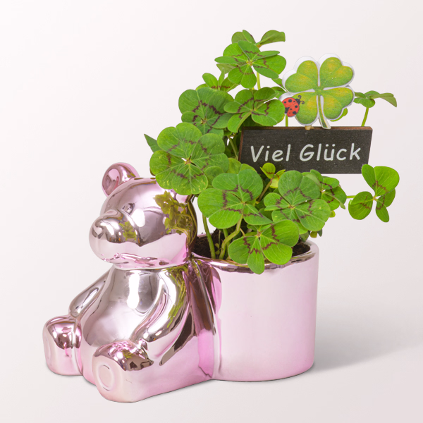 Bearish New Year's greeting