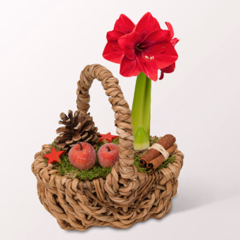 Arrangement Winterwald