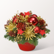 Winter-Mix zum Verlieben