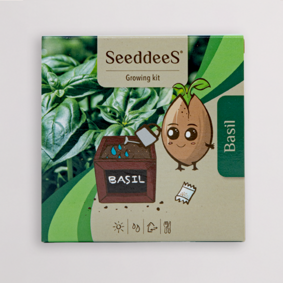 Anzuchtset „Basilikum“