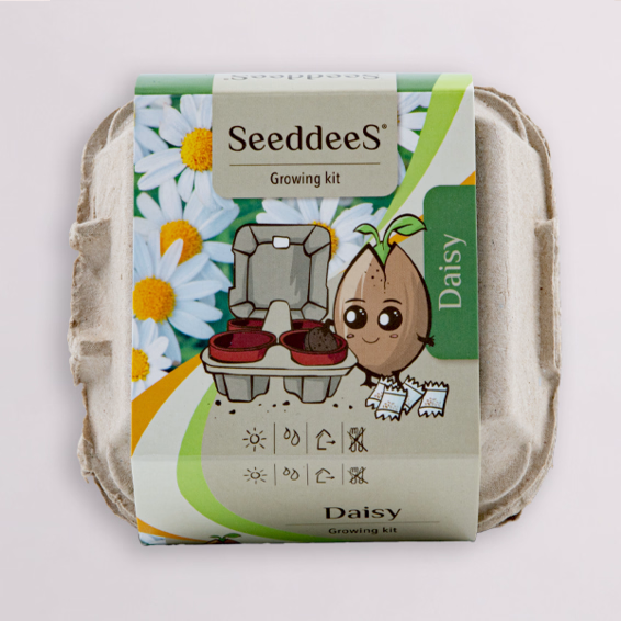 Anzuchtset „Gänseblümchen“