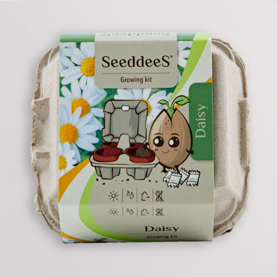 Anzuchtset „Gänseblümchen“