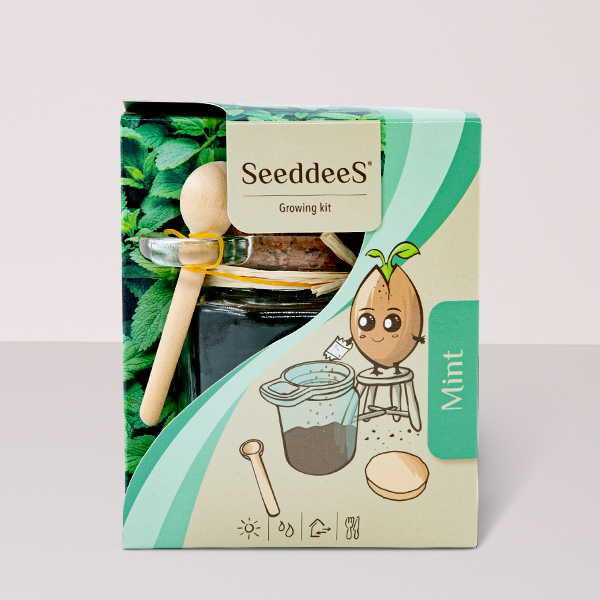 Anzuchtset „Minze“