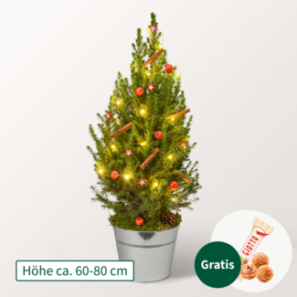 Weihnachtsbaum Weihnachtsfest mit LED-Beleuchtung & mit Ferrero Giotto 3er