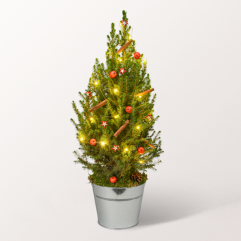 Weihnachtsbaum Weihnachtsfest mit LED-Beleuchtung &