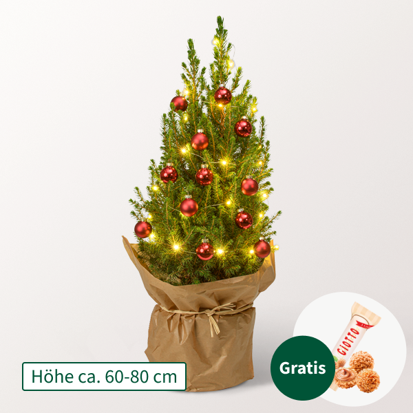 Weihnachtsbaum Merry Christmas mit LED-Beleuchtung &