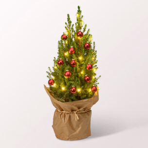 Weihnachtsbaum Merry Christmas mit LED-Beleuchtung &