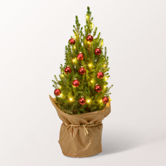 Weihnachtsbaum Merry Christmas mit LED-Beleuchtung &