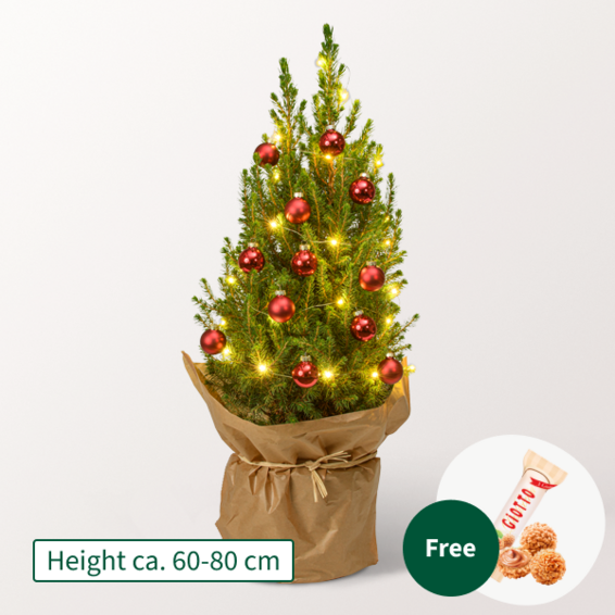 X-Mas Tree Merry Christmas with X-Mas lights & with 3 Ferrero Giotto