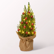 X-Mas Tree Merry Christmas with X-Mas lights & with 3 Ferrero Giotto