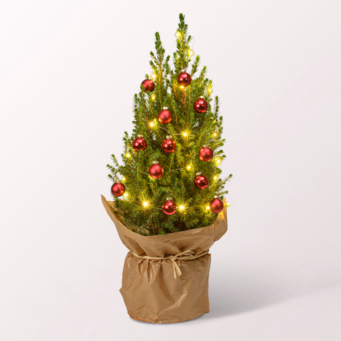 X-Mas Tree Merry Christmas with X-Mas lights & with 3 Ferrero Giotto