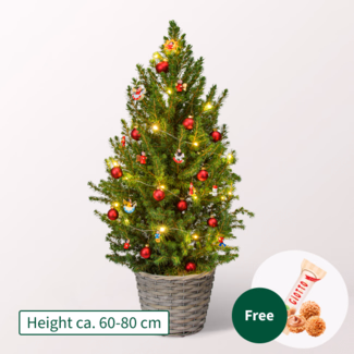 X-Mas Tree Weihnachtsmärchen with X-Mas lights & with 3 Ferrero Giotto