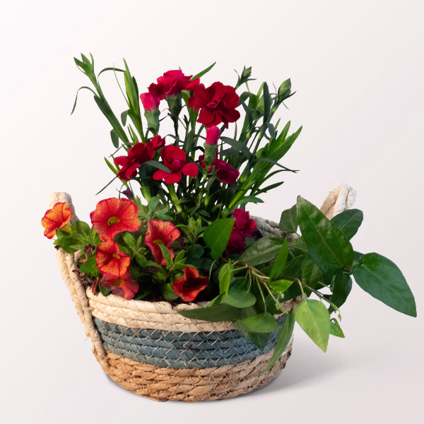 Basket Blütengruß