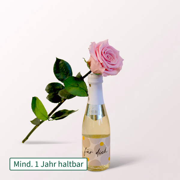Pinke, haltbare Rose mit Hugo „für dich“