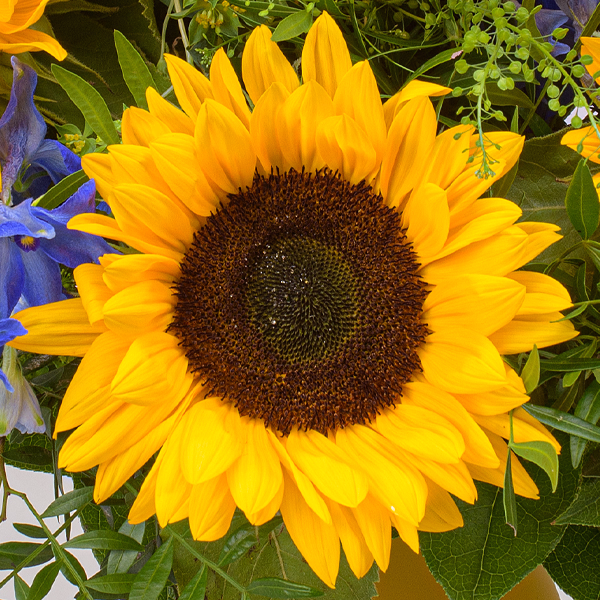 Blumenstrauß Lust auf Sommer mit Vase & Ferrero Giotto