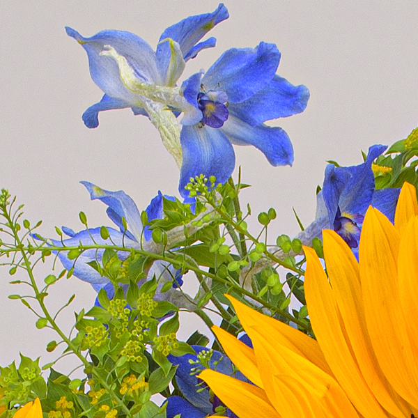 Flower Bouquet Lust auf Sommer with vase & Ferrero Giotto