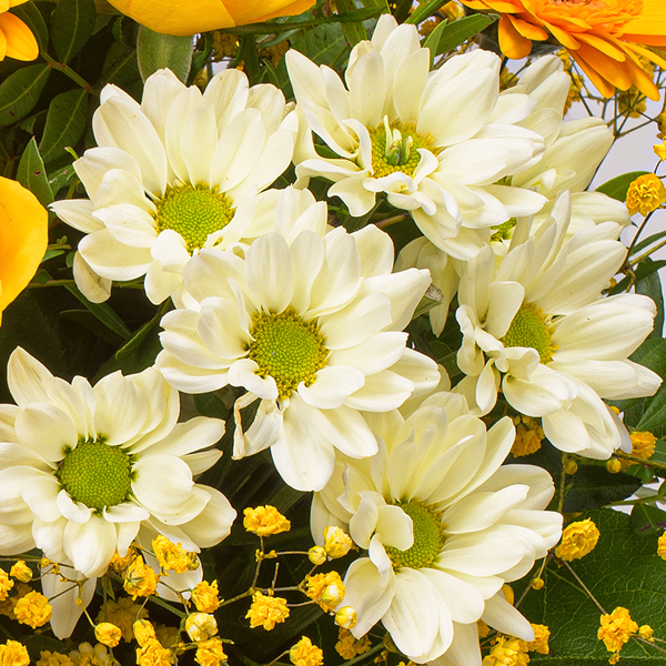 Blumenstrauß Sommerbrise mit Vase & Ferrero Giotto