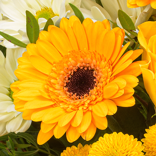 Blumenstrauß Sommerbrise mit Vase & Ferrero Giotto