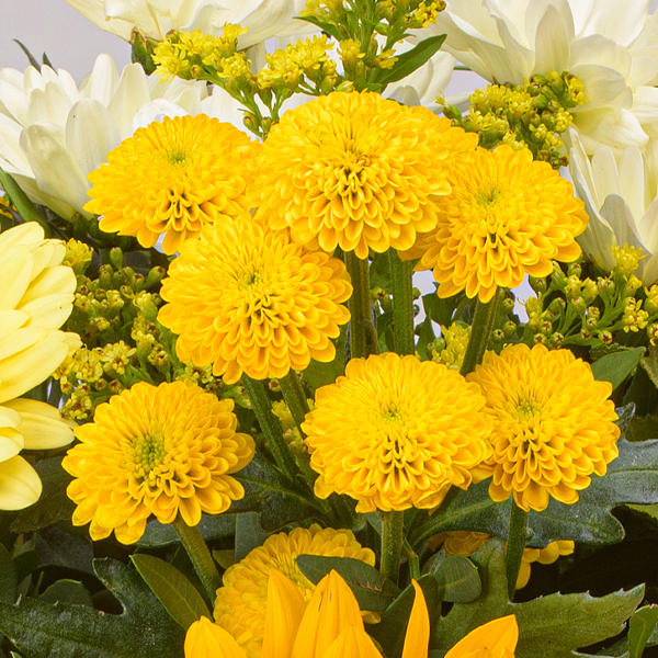 Blumenstrauß Sommertanz mit Vase & Ferrero Giotto